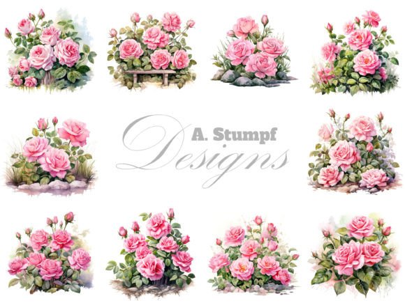 Download Pink Roses Clipart Set Watercolor Flower - Pink Collection