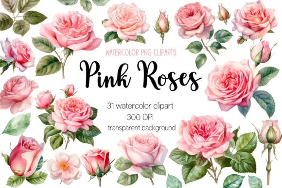 Download Pink Roses Watercolor Clipart Bundle - Pink Collection